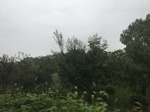2017-09-10_20-32-28_D565A15F-97D4-4F31-A8CB-FC5858E86B1E.jpg