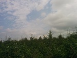 2016-07-27_09-45-46_IMG_20160727_120533.jpg