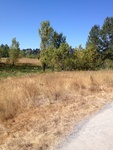 2012-09-14_23-42-48_WA-KG-106-6.JPG