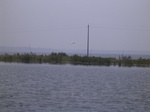 730R0015238.jpg