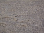 2012-09-10_21-13-30_WY-CV-11-4.JPG