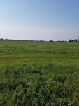2017-09-25_08-49-19_South.jpg