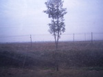 3229R0017263.JPG