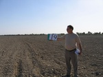 8005019-irrri-w-wheat-sw-1b.jpg