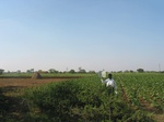 9350gt053b-cropland-rainfed-mixed-crops.gif