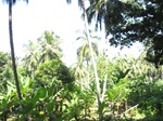 15432IMG_4303.JPG