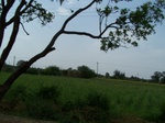 488702052008(80).JPG