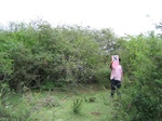 821508-shrubland-valley-botton-includeda.jpg