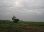 16056IMG_4795.JPG