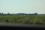 2022-06-11_17-39-29_1568226D-4C2F-4BC4-AD11-23AC16D05272.jpeg