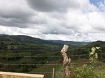 5530100_0905.JPG