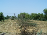 509922042008(19).JPG