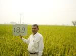 6752gt189-cropland-1.jpg