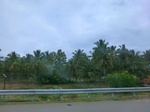 55793CIMG6410.JPG