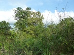 18332P1000168.JPG