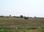 1773123042008(20).JPG