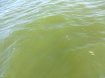 2012-09-21_14-25-54_CIMG0122.JPG