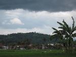 16378IMG_5162.JPG