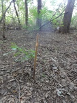 2012-09-24_10-40-14_DSC03046.JPG