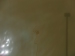 58543CIMG2993.JPG