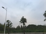 2017-09-12_03-27-41_388EA172-84E9-495F-85E3-D95B1040428F.jpg