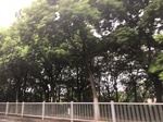 2017-09-10_20-38-55_99669861-F42E-41CA-9CF1-C6D3E6323D1C.jpg