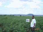 70860205b-rainfed-agriculture-cotton-dominant-gram.jpg