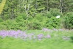 2022-06-11_16-04-22_92076D57-69E5-4E0F-867E-82166E7432E5.jpeg