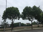 2017-09-10_06-38-55_EED7147D-B4F5-4F32-BCBE-B1C203CD476D.jpg