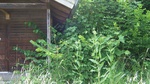 2016-07-25_03-26-58_DSCF1763.JPG