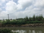 2017-09-12_12-58-00_175C5585-401D-41F5-BB0E-2EA4C9190B54.jpg