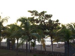 5801100_1404.JPG