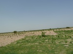 19176P1010022.JPG