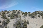 2017-05-08_20-31-01_2017-03-15 17.02.45.jpg