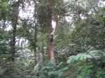 15324IMG_4163.JPG
