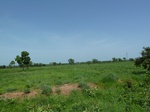 19510P1010357.JPG