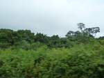 20461P1020318.JPG