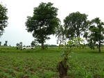18693P1000531.JPG