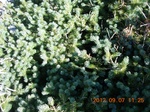 2012-09-27_14-25-42_288.JPG
