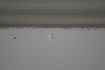 4141IMG_8778.JPG