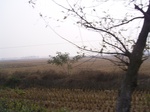 3072 005.jpg