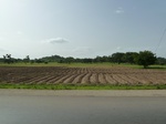 18867P1000709.JPG