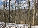 2018-03-24_21-23-42_26E28C91-3D55-40E4-8603-98AD3FB592FF.jpg