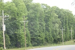 2022-06-11_17-39-22_DFD42796-F89C-4DED-ADAB-EABCE5ADA609.jpeg