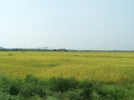 17344100_2030.JPG