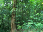 548011052008(50).JPG