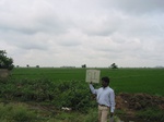 7971gt91b_cropland_rice.jpg