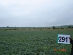 73600291b-rainfed-agriculture-soyabean.jpg