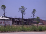 3516 084.jpg