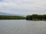 38552CIMG0080.JPG